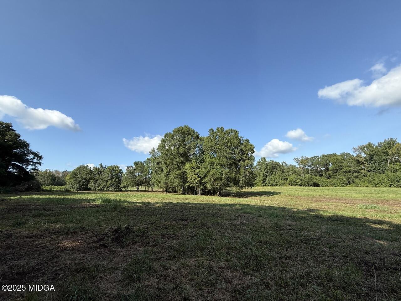 0 Yellow Creek Road Forsyth, GA 31029 - Photo 19 of 22 a view of a field with a big yard