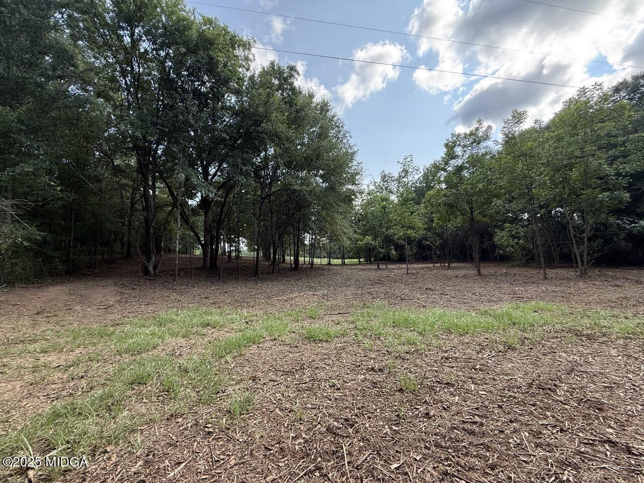 0 Yellow Creek Road Forsyth, GA 31029 - Photo 8 of 22 a view of backyard with green space