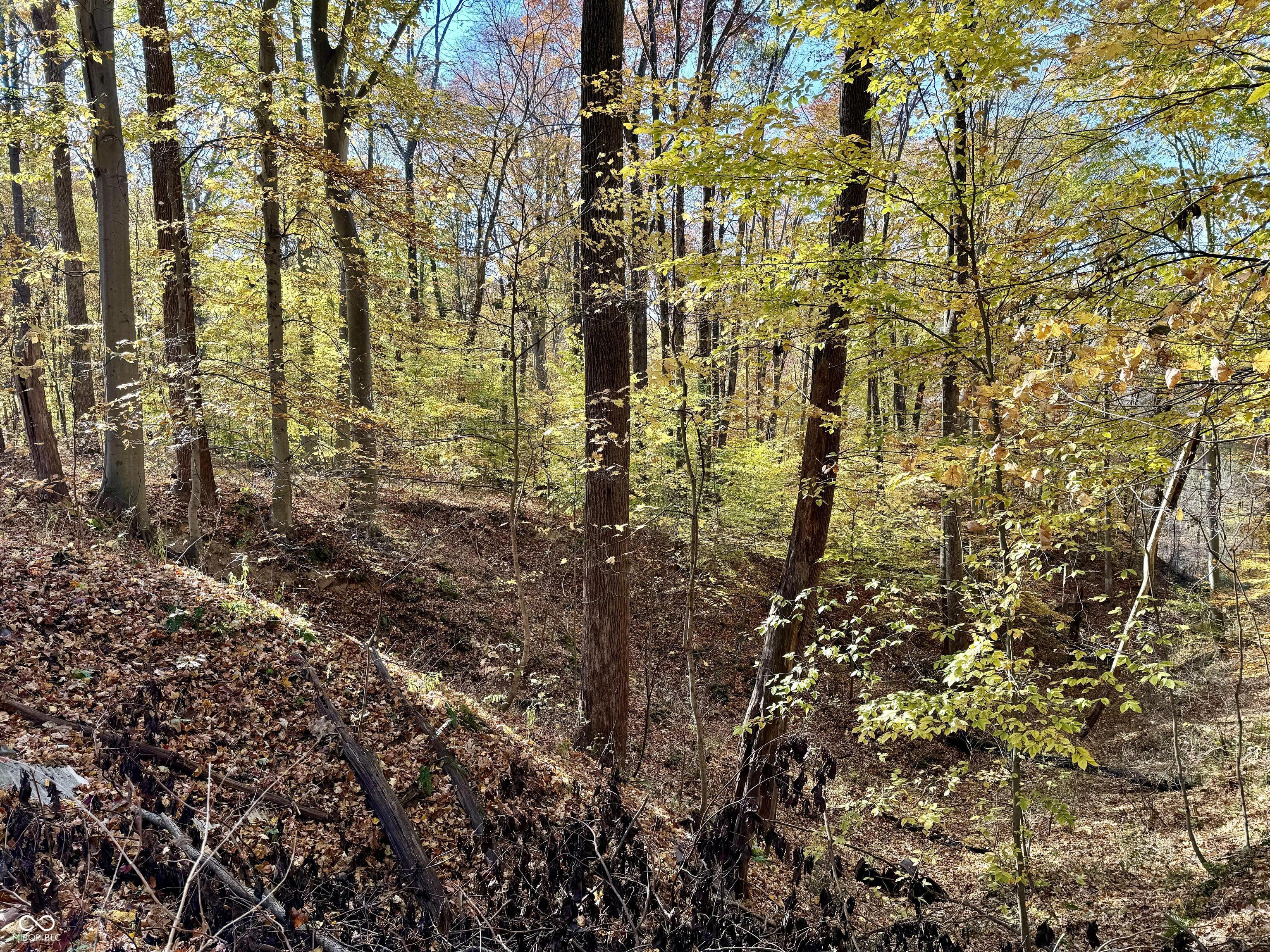 10151 Brann Road Poland, IN 47868 - Photo 56 of 77 Gallery Image 56
