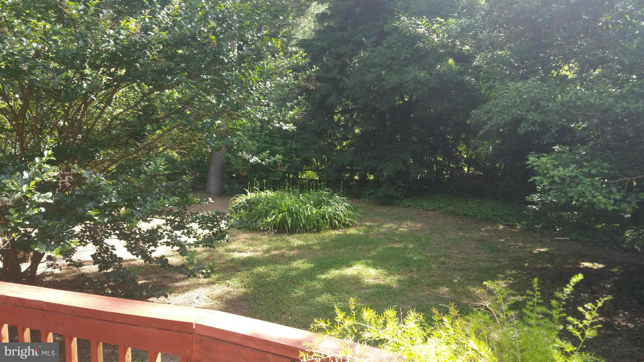 214 Sharp Road Denton, MD 21629 - Photo 22 of 27 Fenced backyard