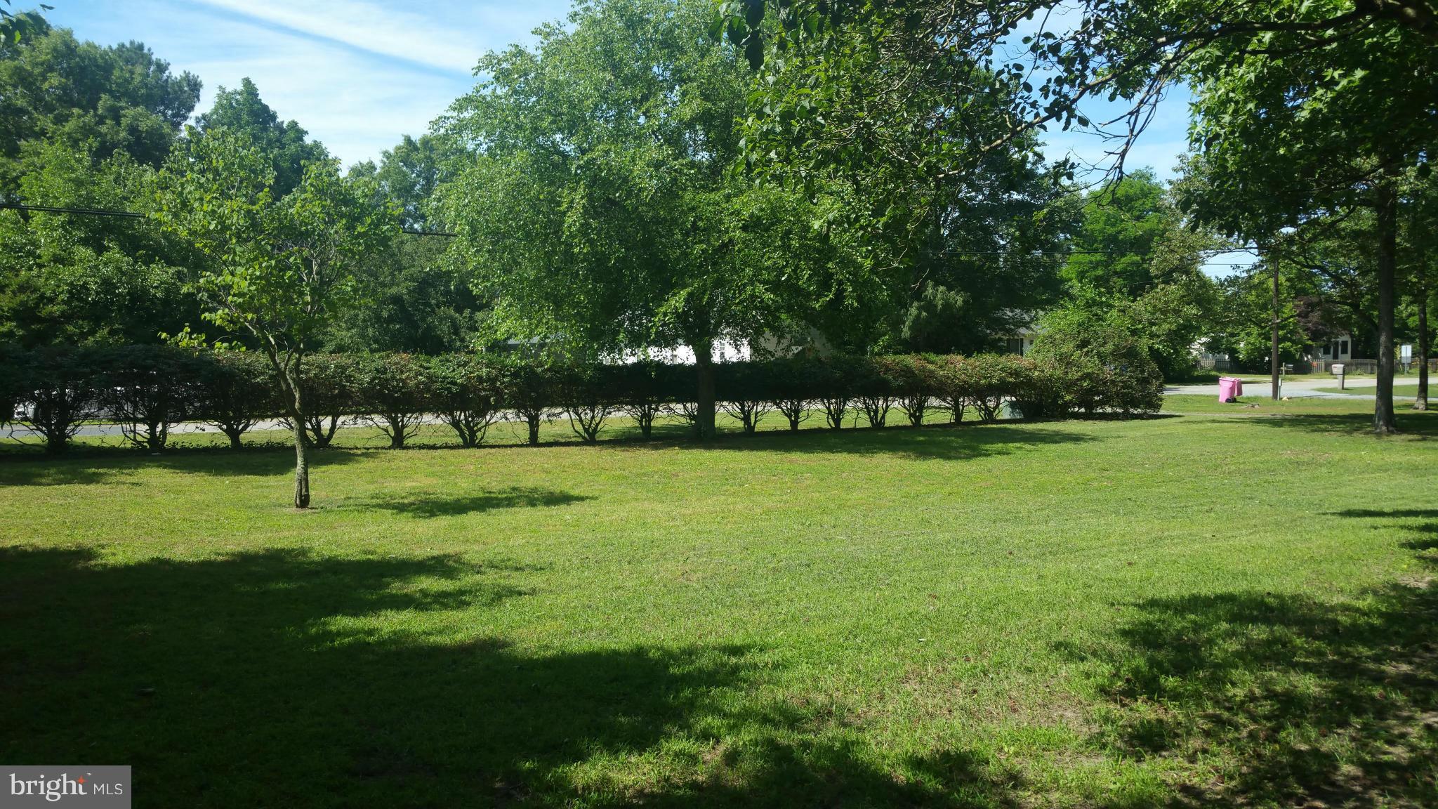 214 Sharp Road Denton, MD 21629 - Photo 24 of 27 Front yard
