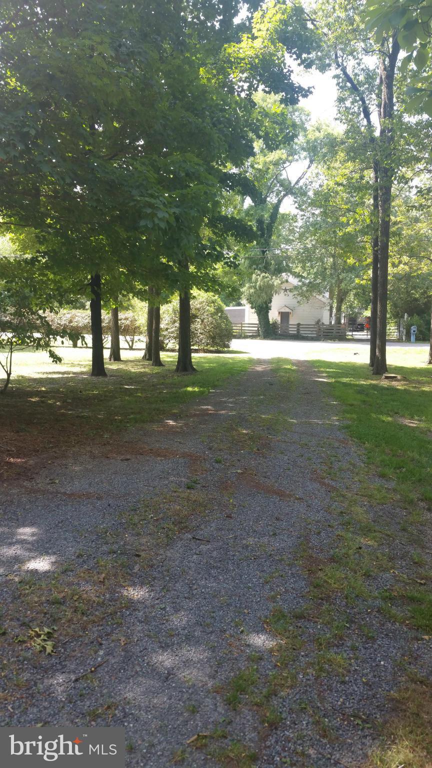 214 Sharp Road Denton, MD 21629 - Photo 25 of 27 Tree lined driveway