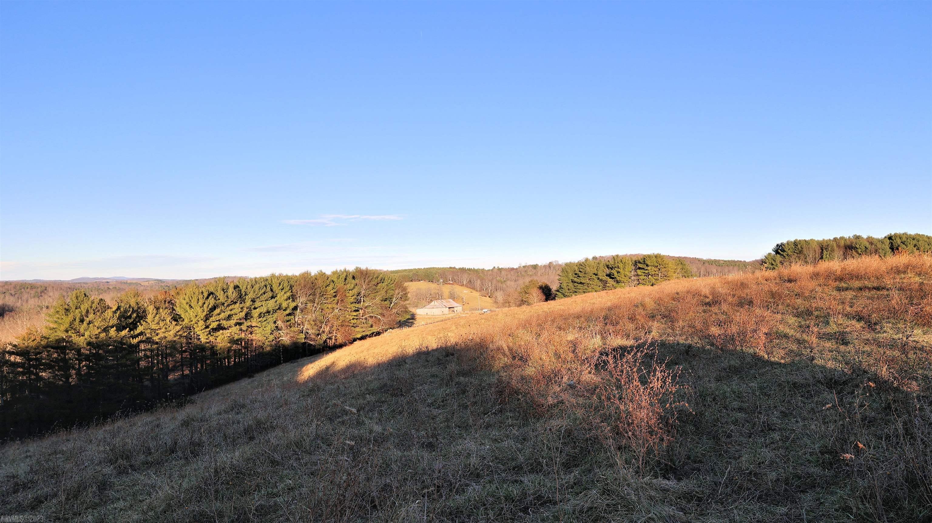 13.04 Ac Laurel Branch Road Floyd, VA 24091 - Photo 28 of 34 Gallery Image 28