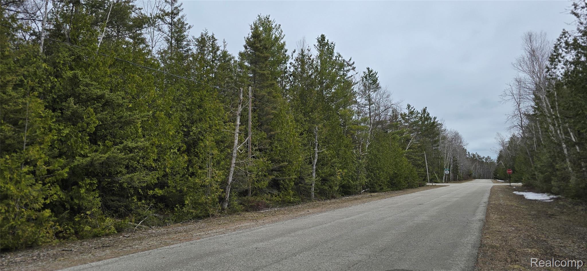 Vl Lot 332 Vl Drive Presque Isle, MI 49777 - Photo 2 of 7 Balsam Drive