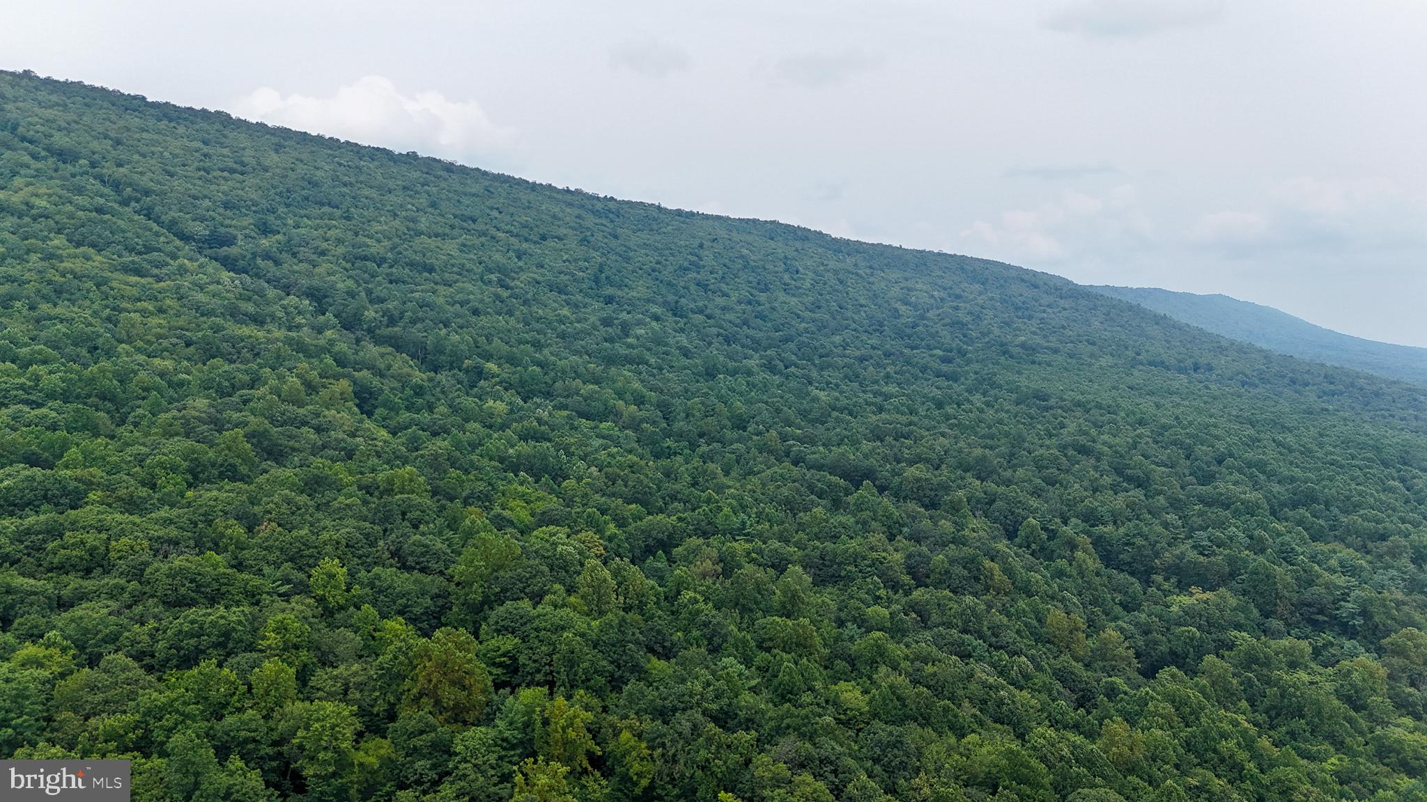 Mountain Road James Creek, PA 16657 - Photo 1 of 27 Lush green hills under a cloudy sky.