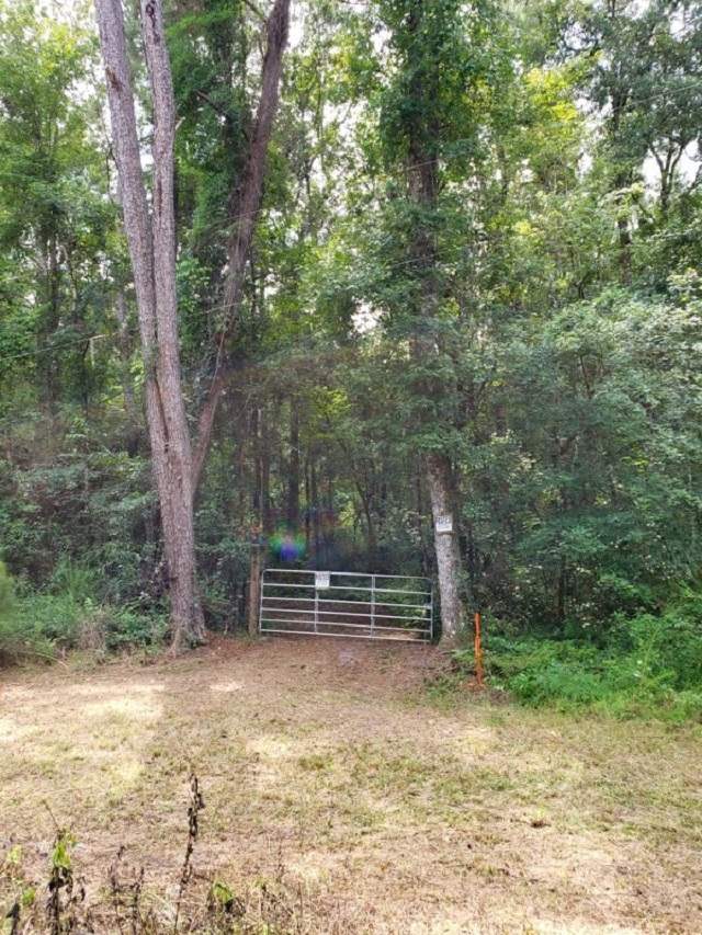 Xx Tram Road Monticello, FL 32344 - Photo 2 of 3 Gallery Image 2