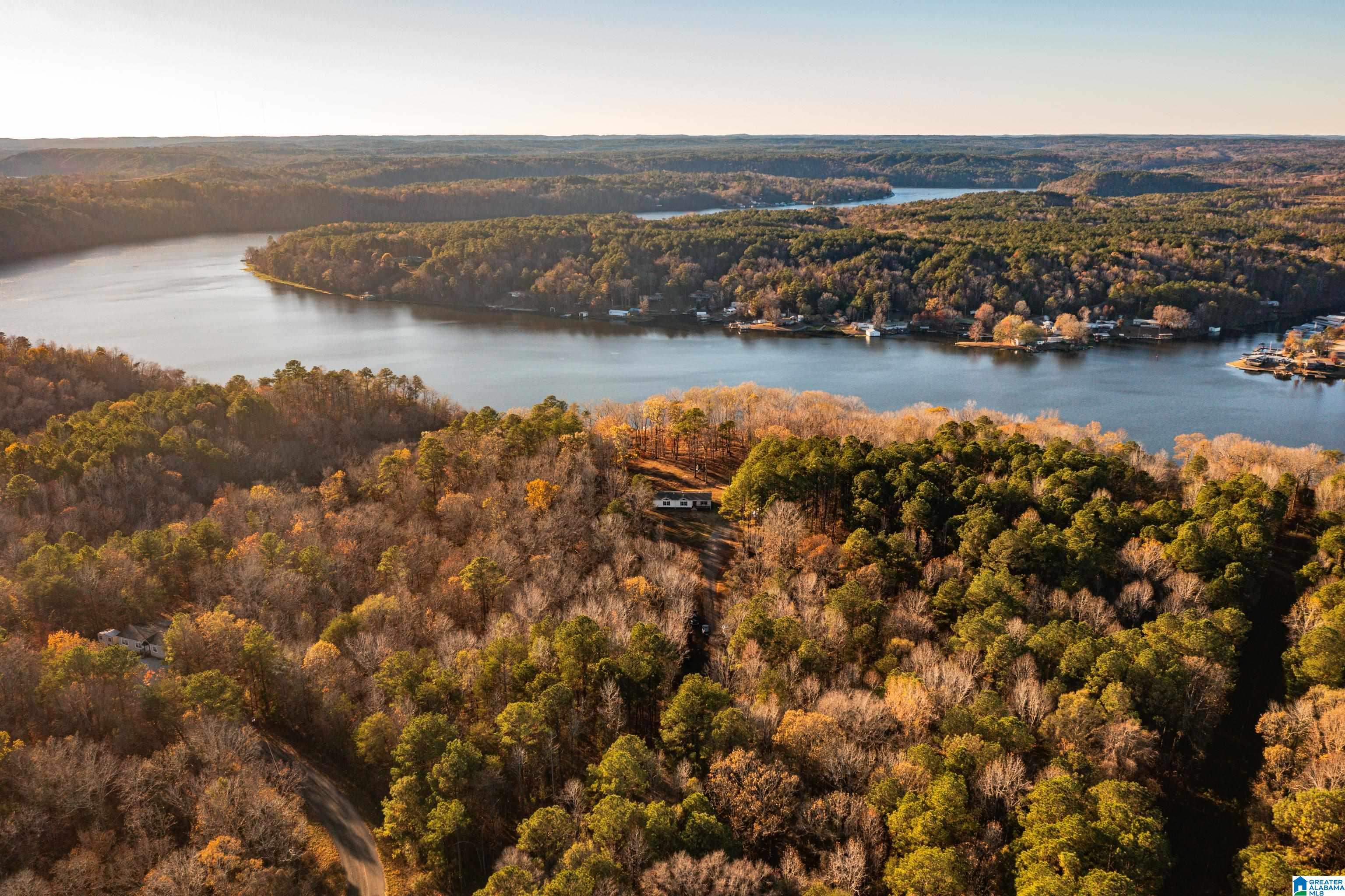 191 Warrior River Highlands Road Adger, AL 35006 - Photo 62 of 81