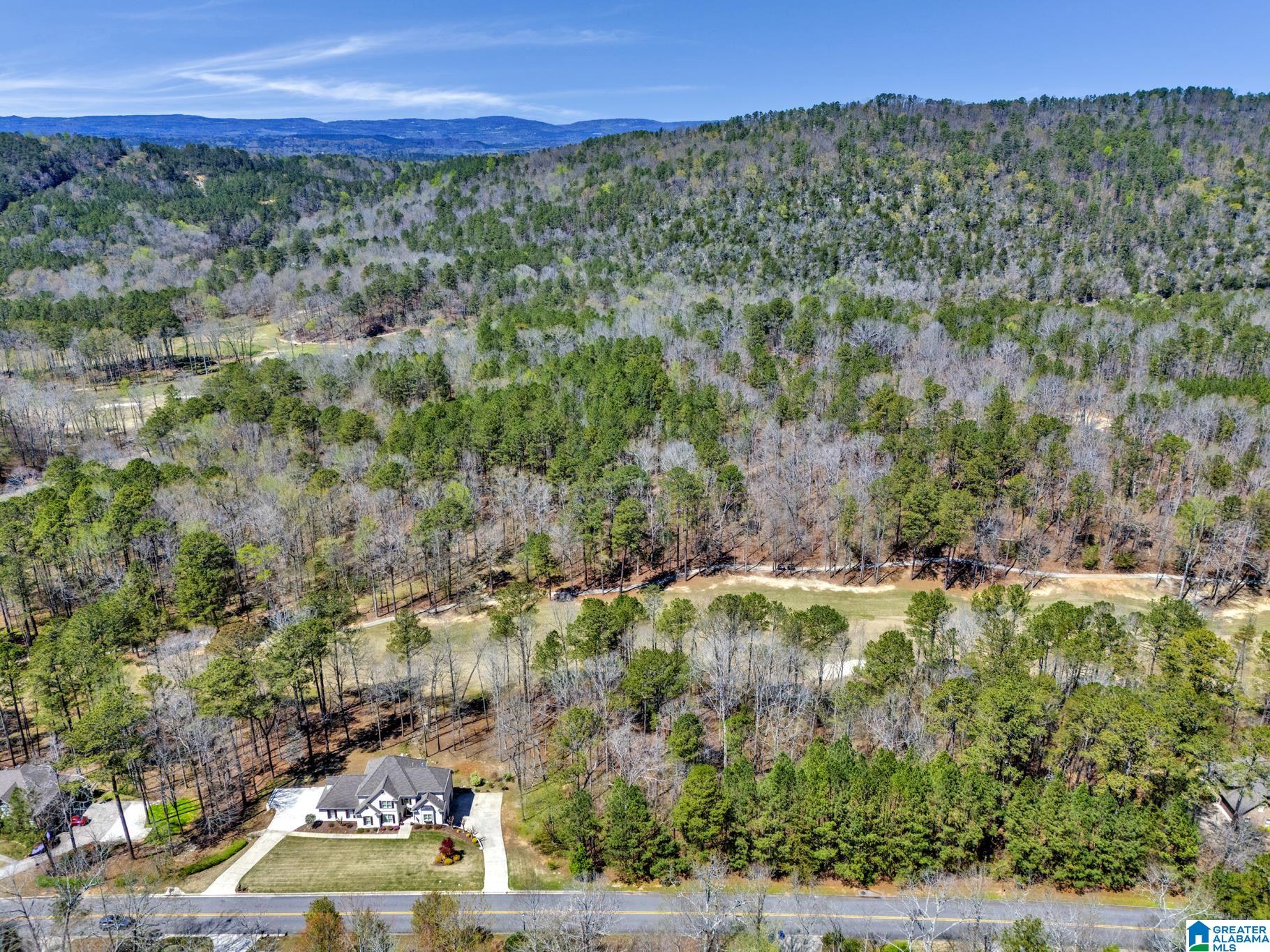 433 St Andrews Parkway, Unit 1 Oneonta, AL 35121 - Photo 3 of 22