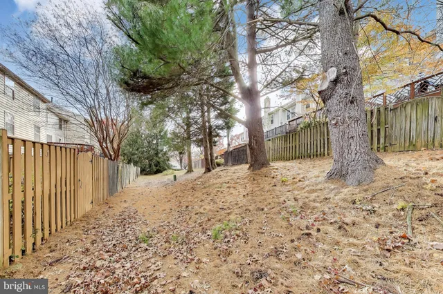 a tree in the middle of a yard