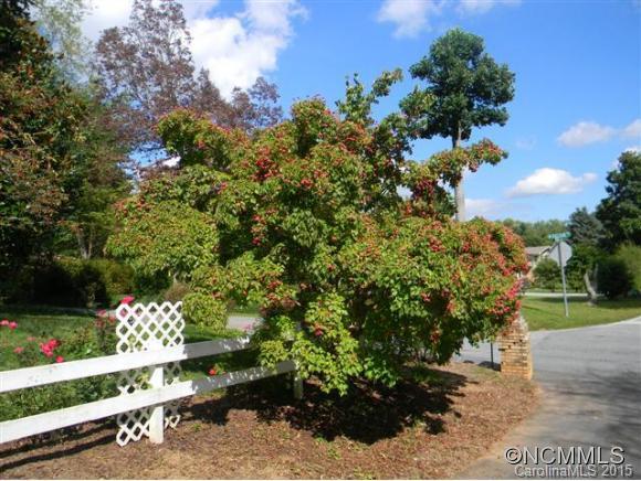 228 Balsam Road Hendersonville, NC 28792 - Photo 20 of 24 Gallery Image 20