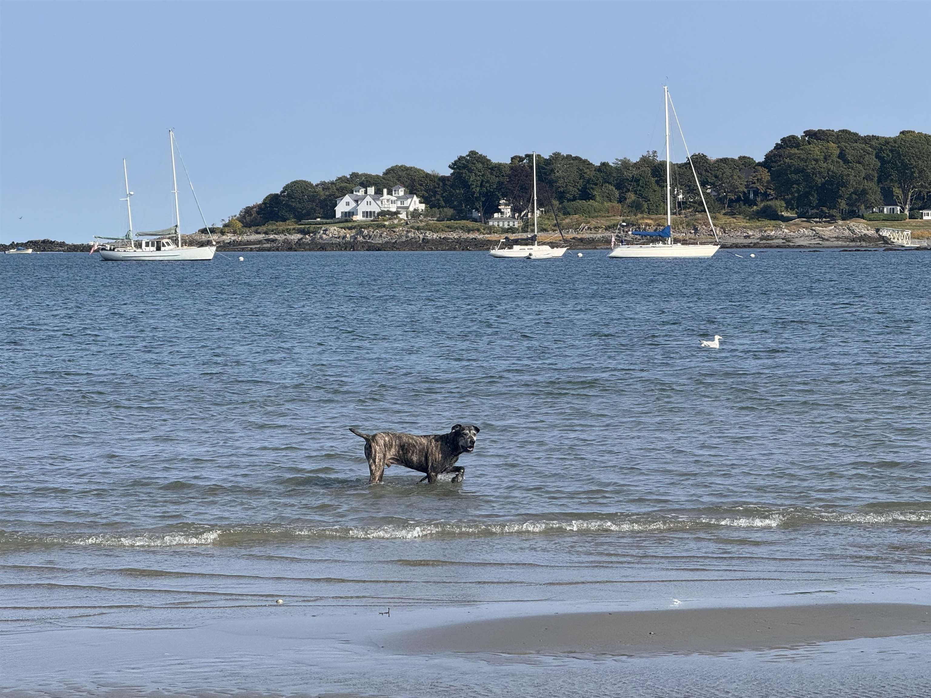 157 Hills Beach Road, Unit A Biddeford, ME 04005 - Photo 25 of 33