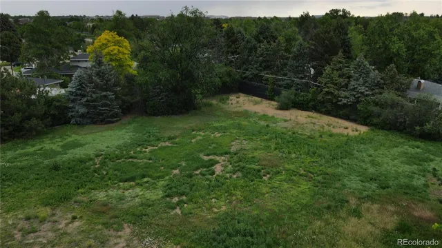 a view of a green field with lots of bushes