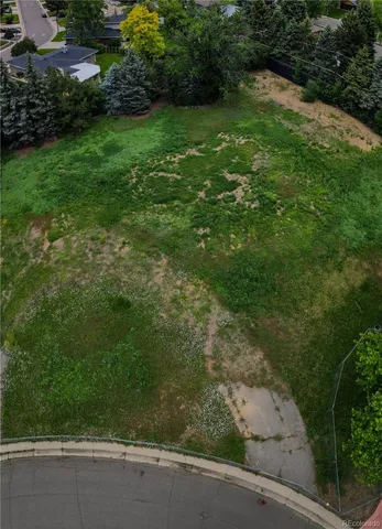 a view of garden with trees