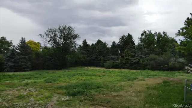 a view of a city with lush green forest