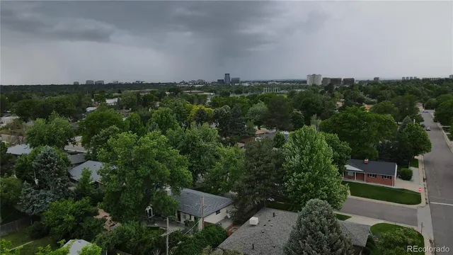 a view of a backyard