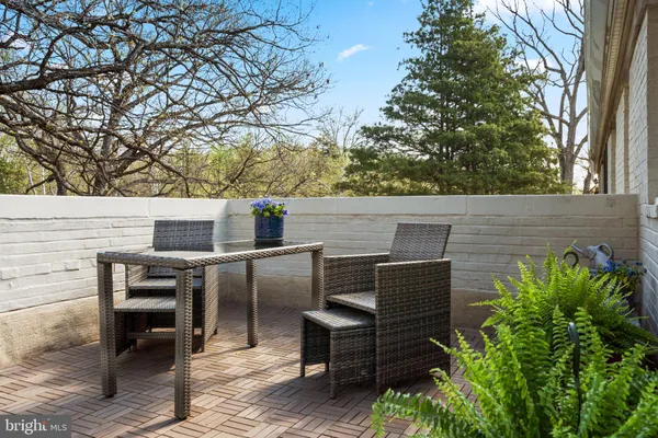 a view of a deck with wooden chairs and a large tree