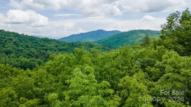 a view of a bunch of trees