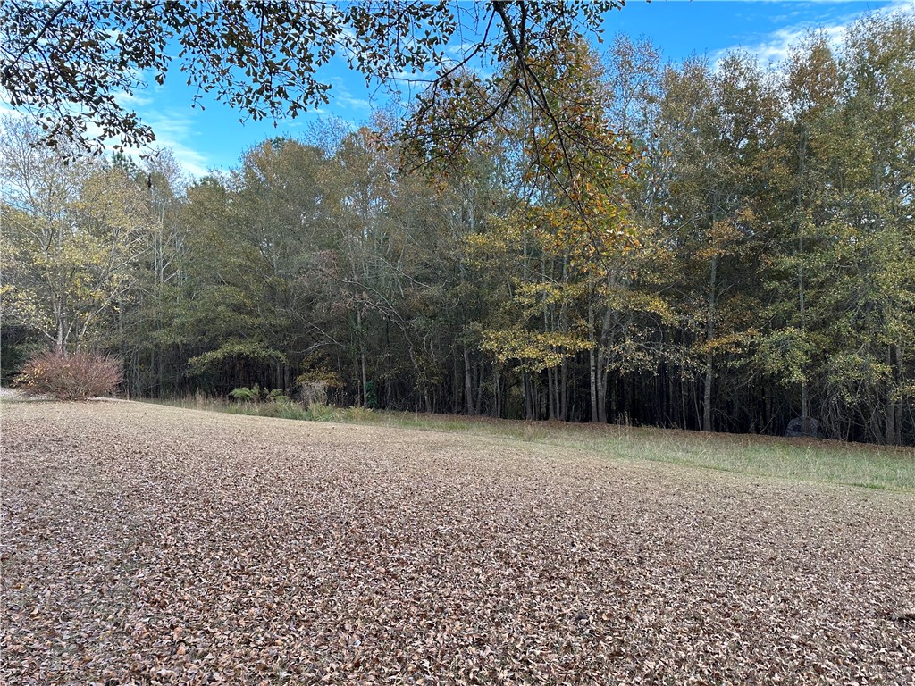 307 State Rd S-4-400 Anderson, SC 29626 - Photo 14 of 27 Gallery Image 14