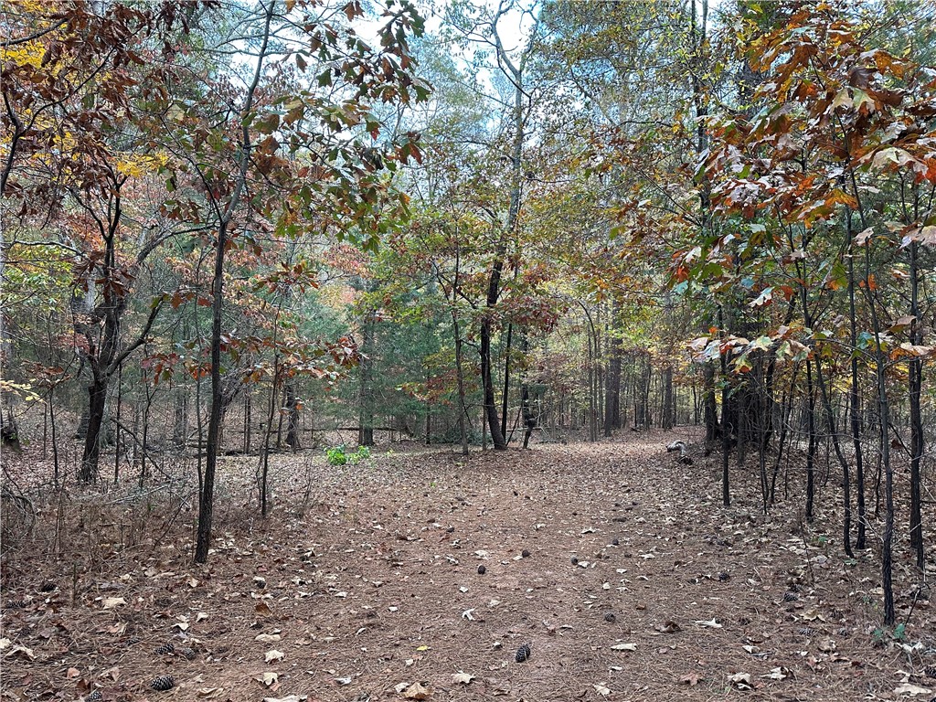 307 State Rd S-4-400 Anderson, SC 29626 - Photo 20 of 27 Gallery Image 20
