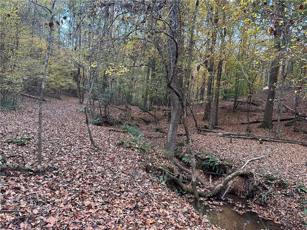 307 State Rd S-4-400 Anderson, SC 29626 - Photo 24 of 27 Gallery Image 24