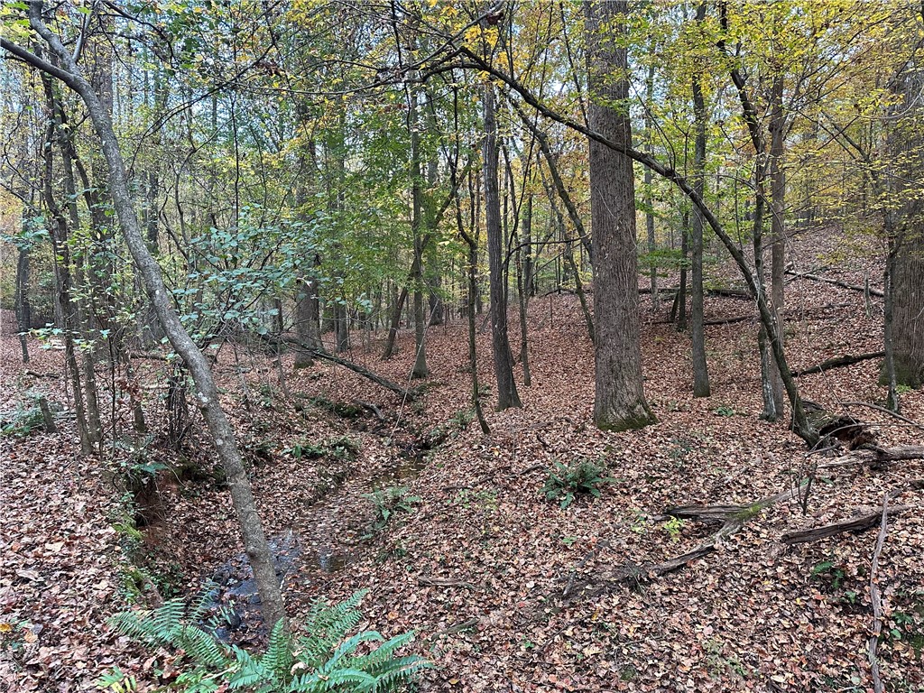 307 State Rd S-4-400 Anderson, SC 29626 - Photo 25 of 27 Gallery Image 25