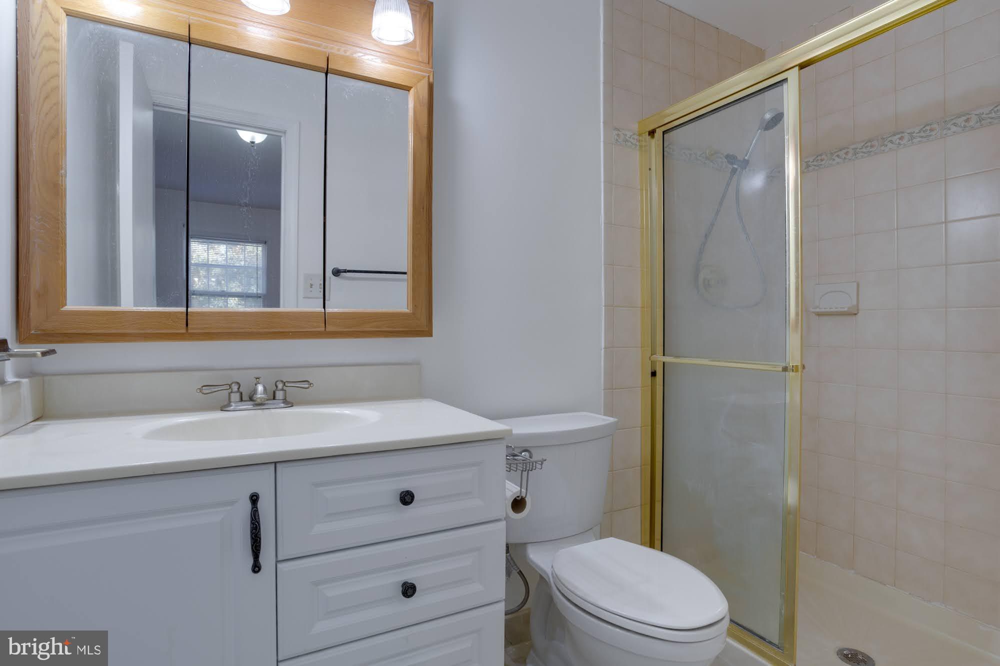 9043 Blarney Stone Drive Springfield, VA 22152 - Photo 16 of 23 a bathroom with a sink a toilet a mirror and shower