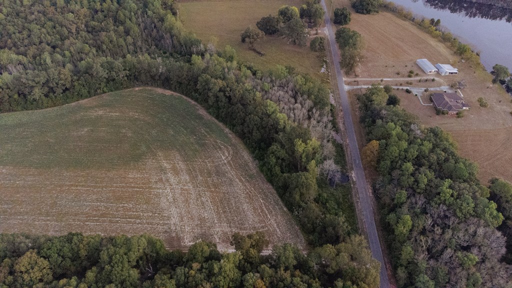 0 South County Road 83 Samson, AL 36477 - Photo 6 of 8