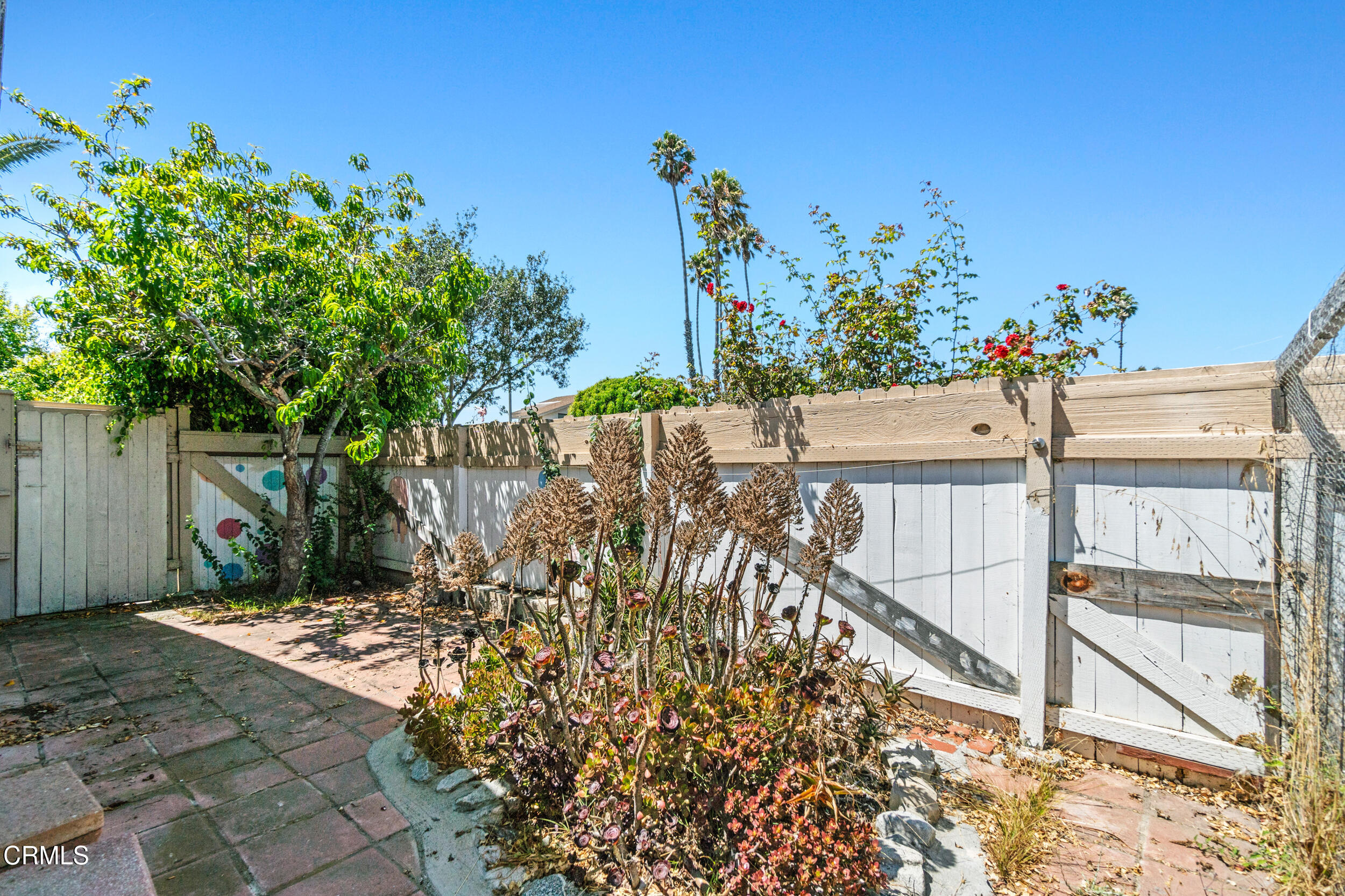3330 Ketch Avenue Oxnard, CA 93035 - Photo 38 of 45 a view of a yard with plants