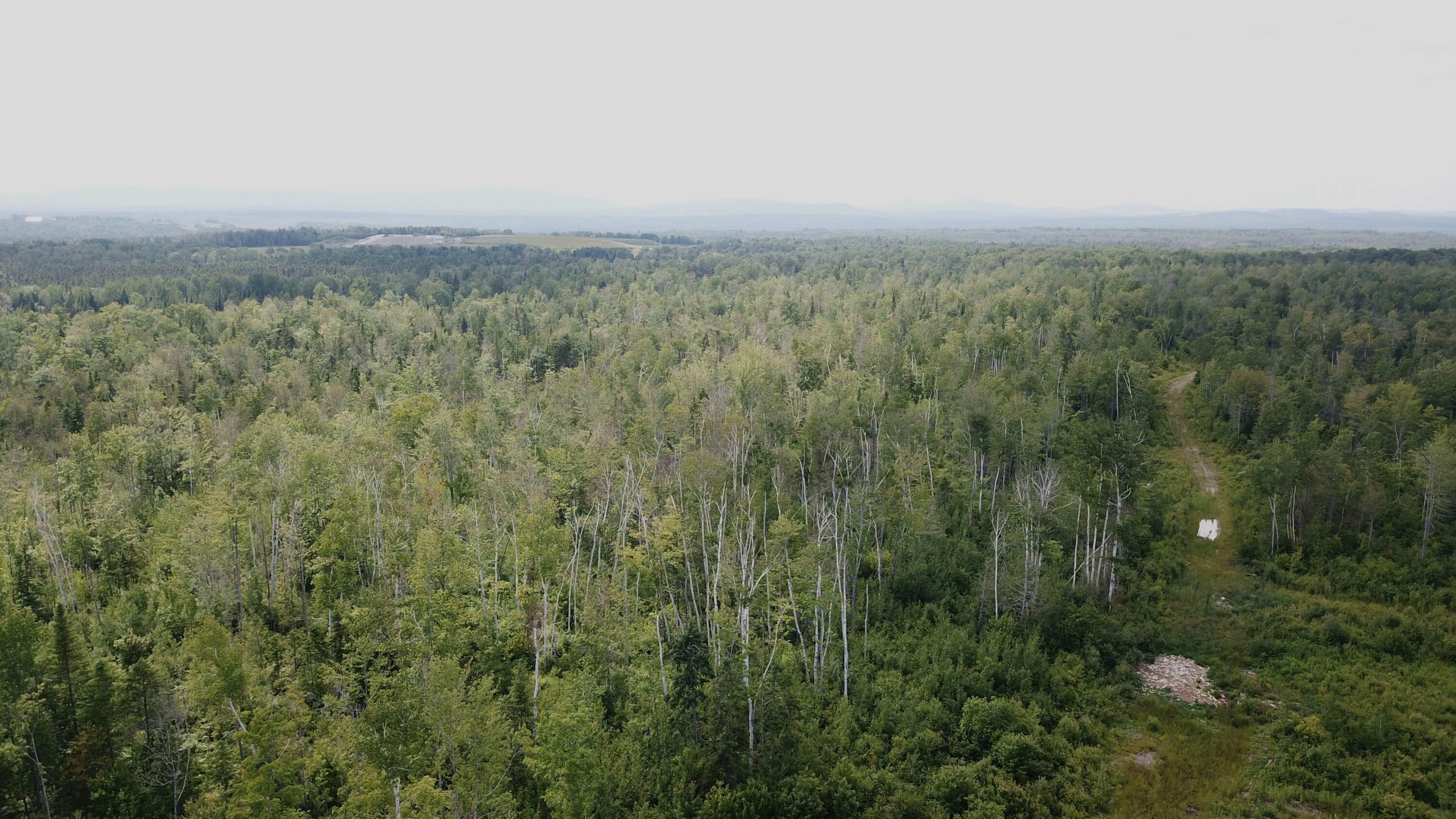 140 Mountain Road Presque Isle, ME 04769 - Photo 7 of 10 DJI_0538