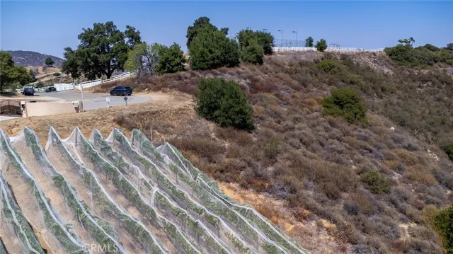 a view of a dry yard with trees in the background