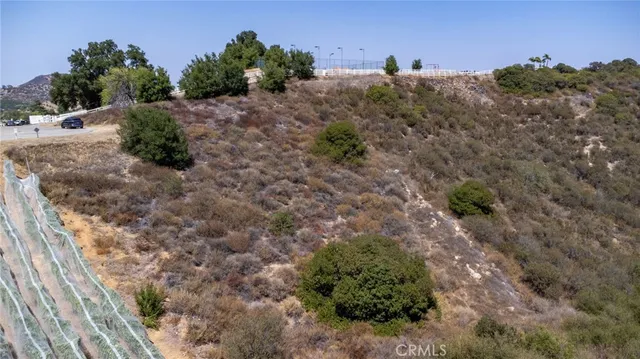 a view of a dry yard with trees