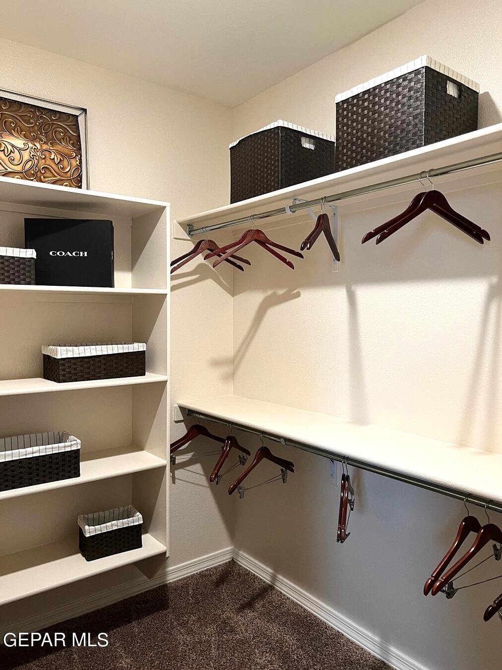 12869 Crystal Downs El Paso, TX 79928 - Photo 17 of 18 a view of walk in closet