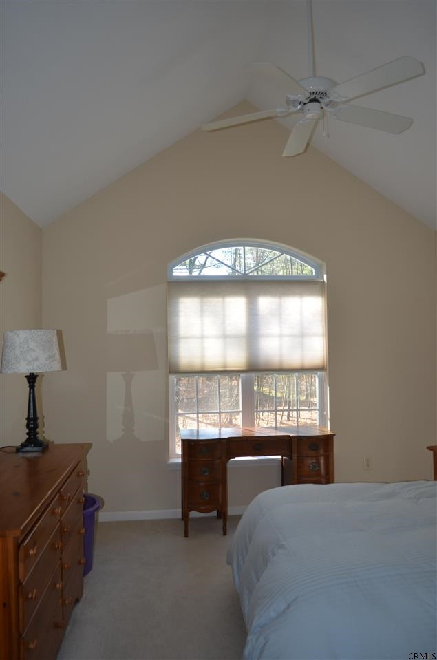 357 Ushers Road Ballston Lake, NY 12019 - Photo 22 of 25 Photo 22