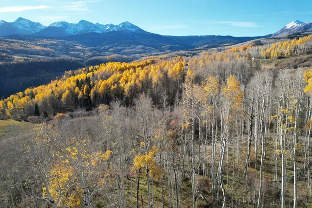 $669,000 | Tbd Little Cone Ranch Road, Placerville, CO 81430