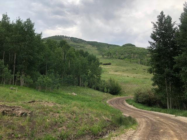 Tbd Little Cone Ranch Road Placerville, CO 81430 - Photo 3 of 10 Little Cone Ranch, tract 2