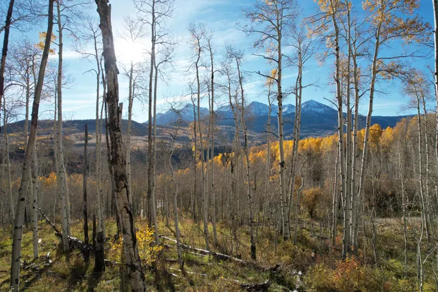 $669,000 | Tbd Little Cone Ranch Road, Placerville, CO 81430