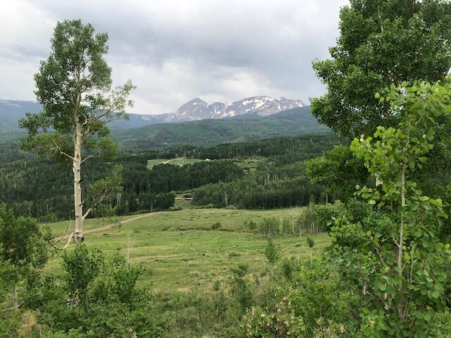 Tbd Little Cone Ranch Road Placerville, CO 81430 - Photo 5 of 10 Little Cone Ranch, tract 2