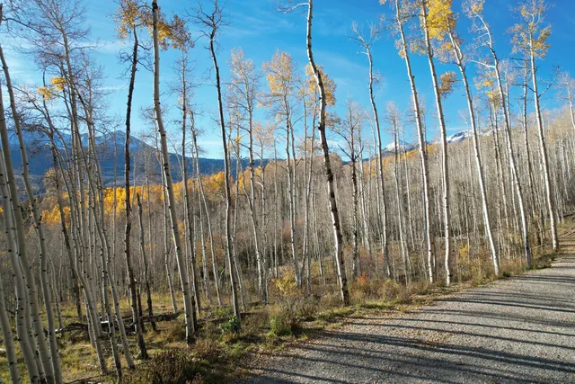 $669,000 | Tbd Little Cone Ranch Road, Placerville, CO 81430