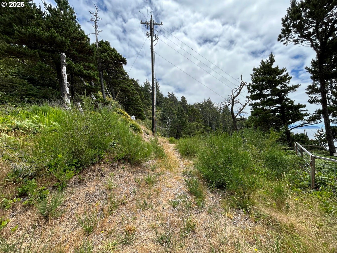 3900 South Castle Lane Tillamook, OR 97141 - Photo 11 of 15 a view of a yard with plants and a tree
