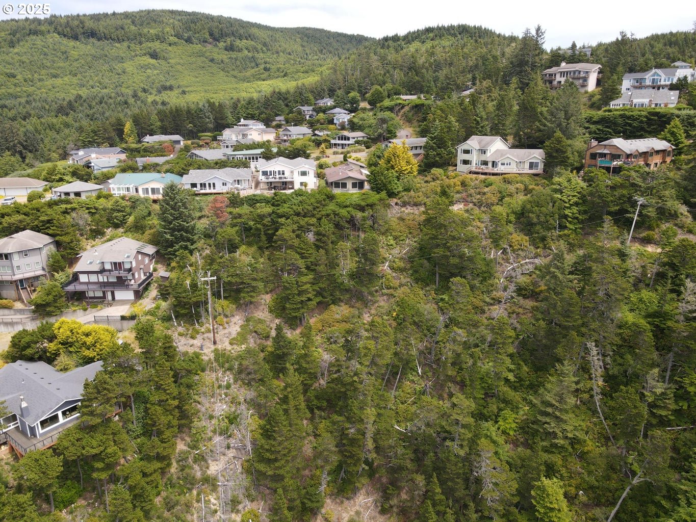 3900 South Castle Lane Tillamook, OR 97141 - Photo 14 of 15 a view of a town with mountains in the background