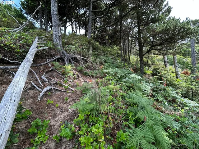 a view of an outdoor space