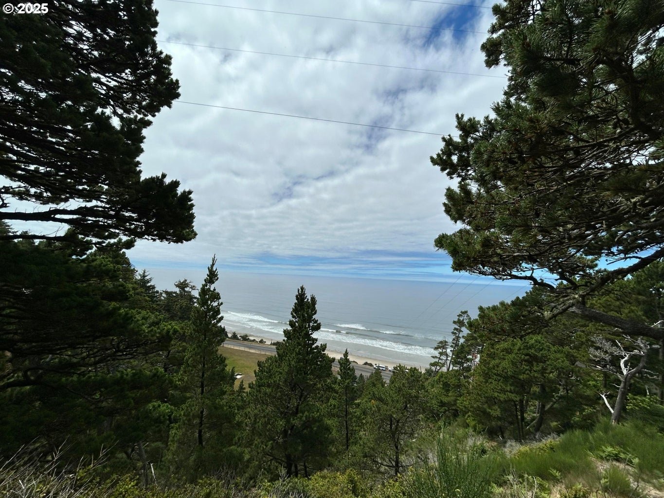 3900 South Castle Lane Tillamook, OR 97141 - Photo 8 of 15 a view of a lake from a yard
