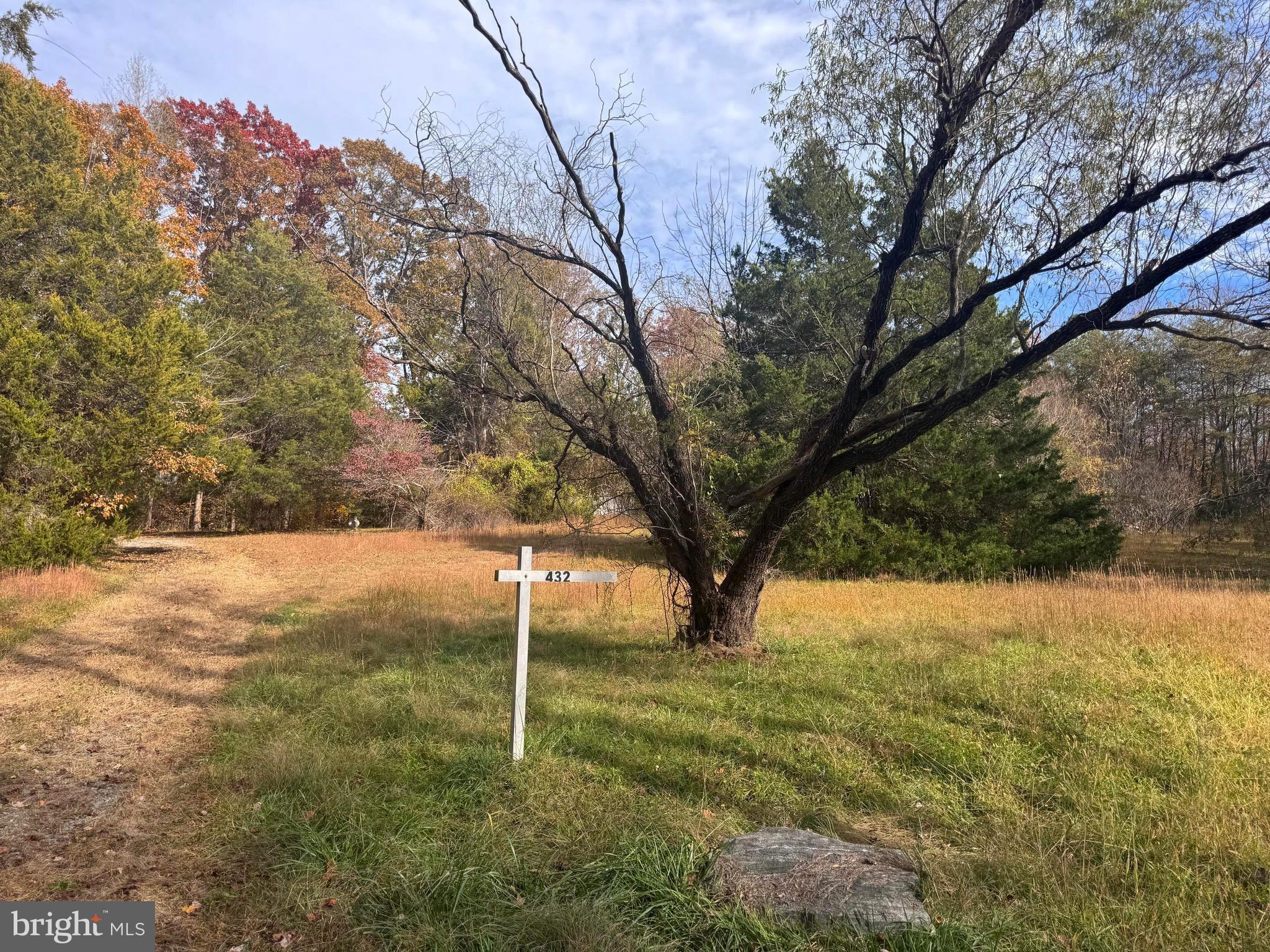 a view of yard with tree