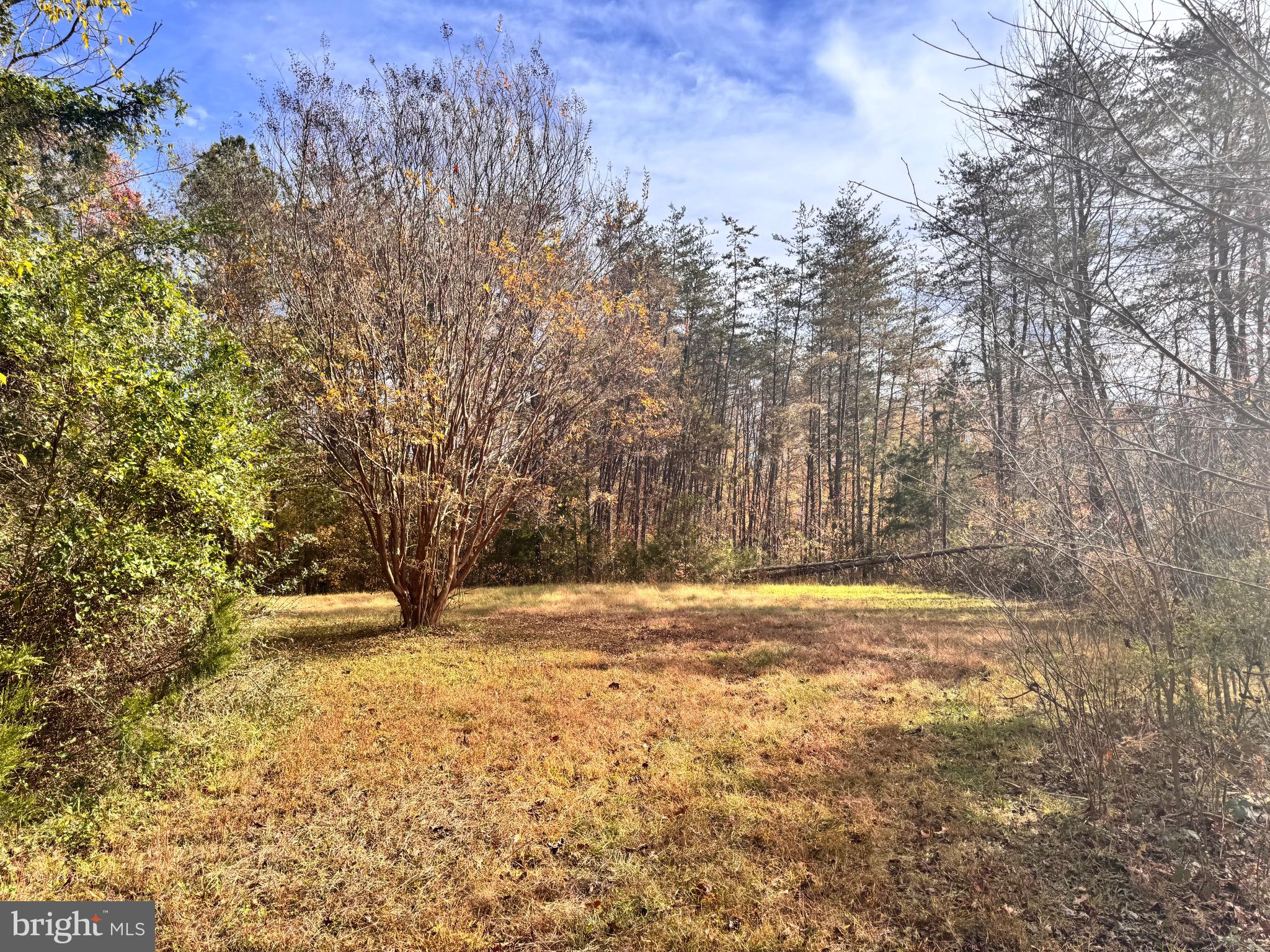 432 Little River Farms Road Bumpass, VA 23024 - Photo 11 of 17 a view of a yard with trees in the background