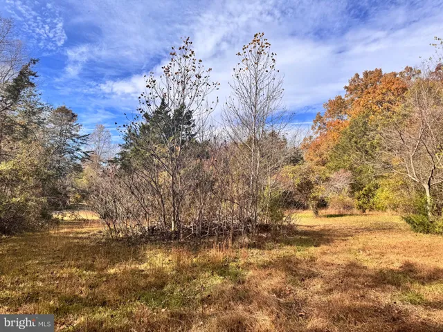 a view of empty yard