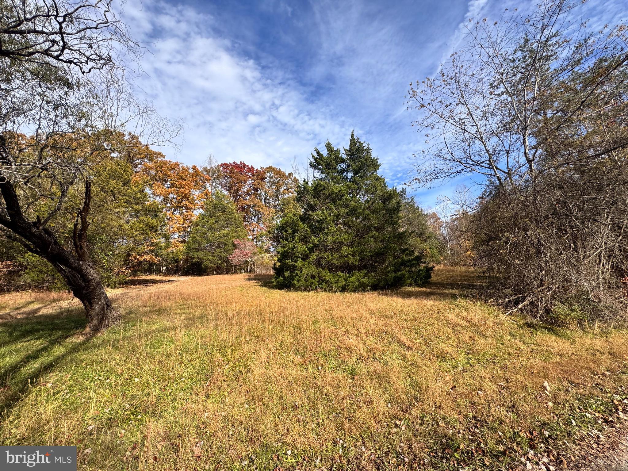 432 Little River Farms Road Bumpass, VA 23024 - Photo 13 of 17 a view of empty yard