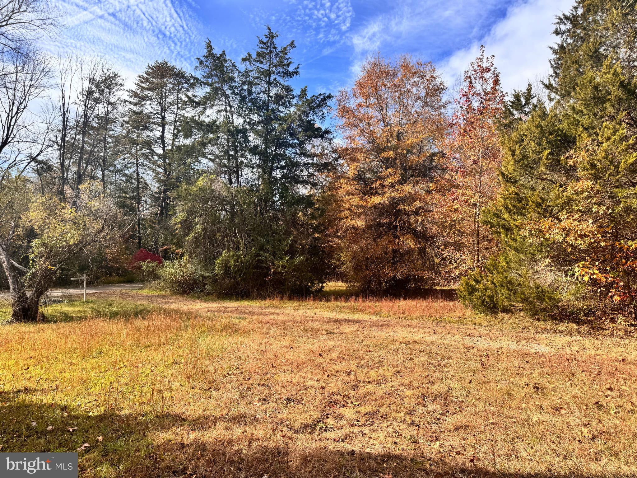 432 Little River Farms Road Bumpass, VA 23024 - Photo 15 of 17 a view of yard with large trees
