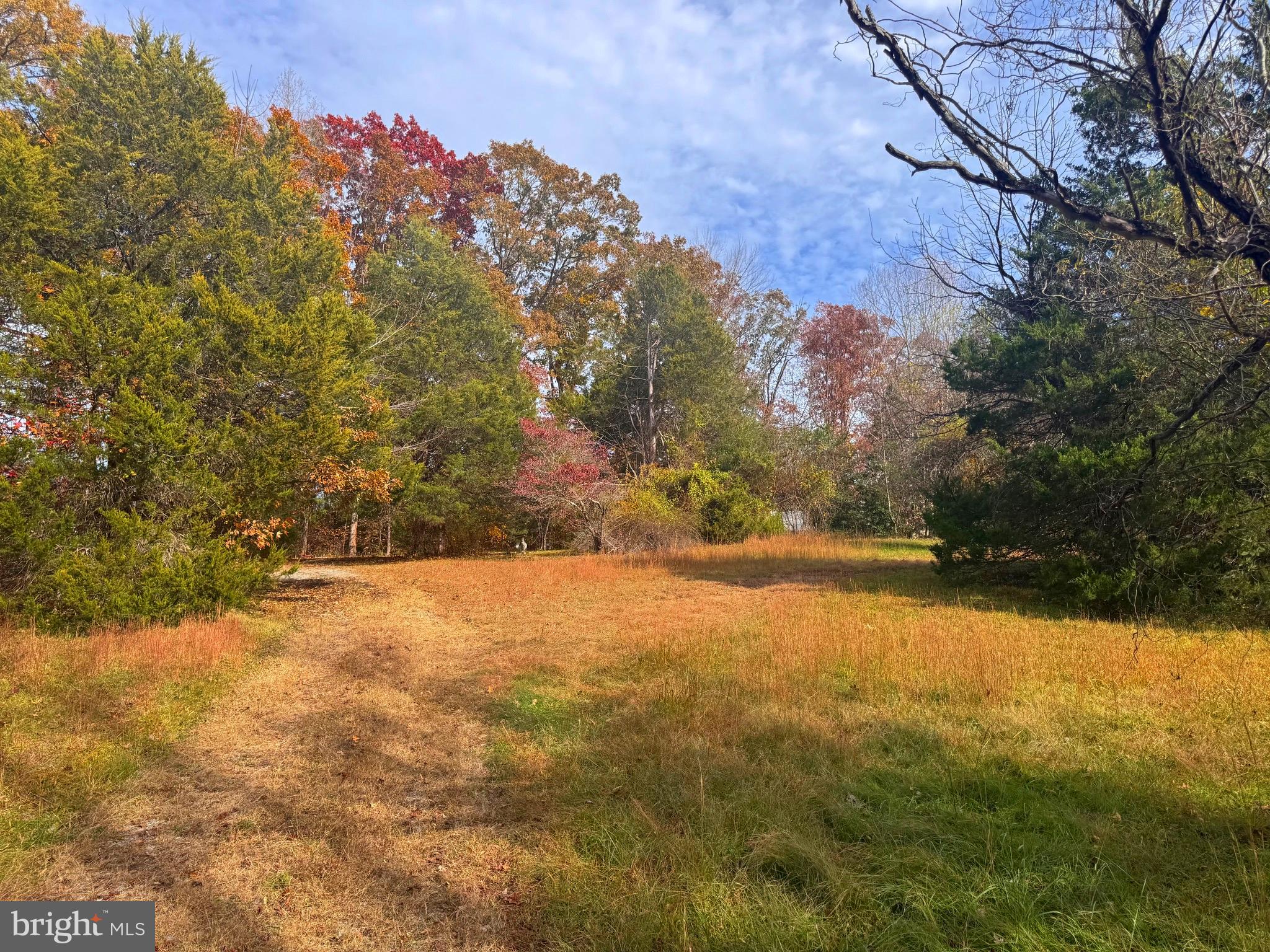 432 Little River Farms Road Bumpass, VA 23024 - Photo 2 of 17 a view of empty field with tree in the background