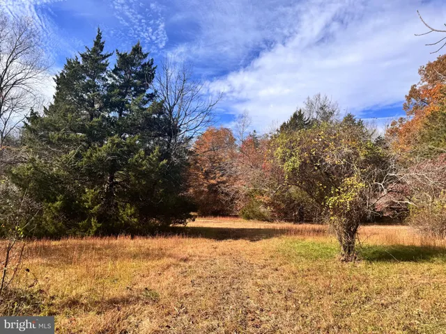 a view of outdoor space and yard