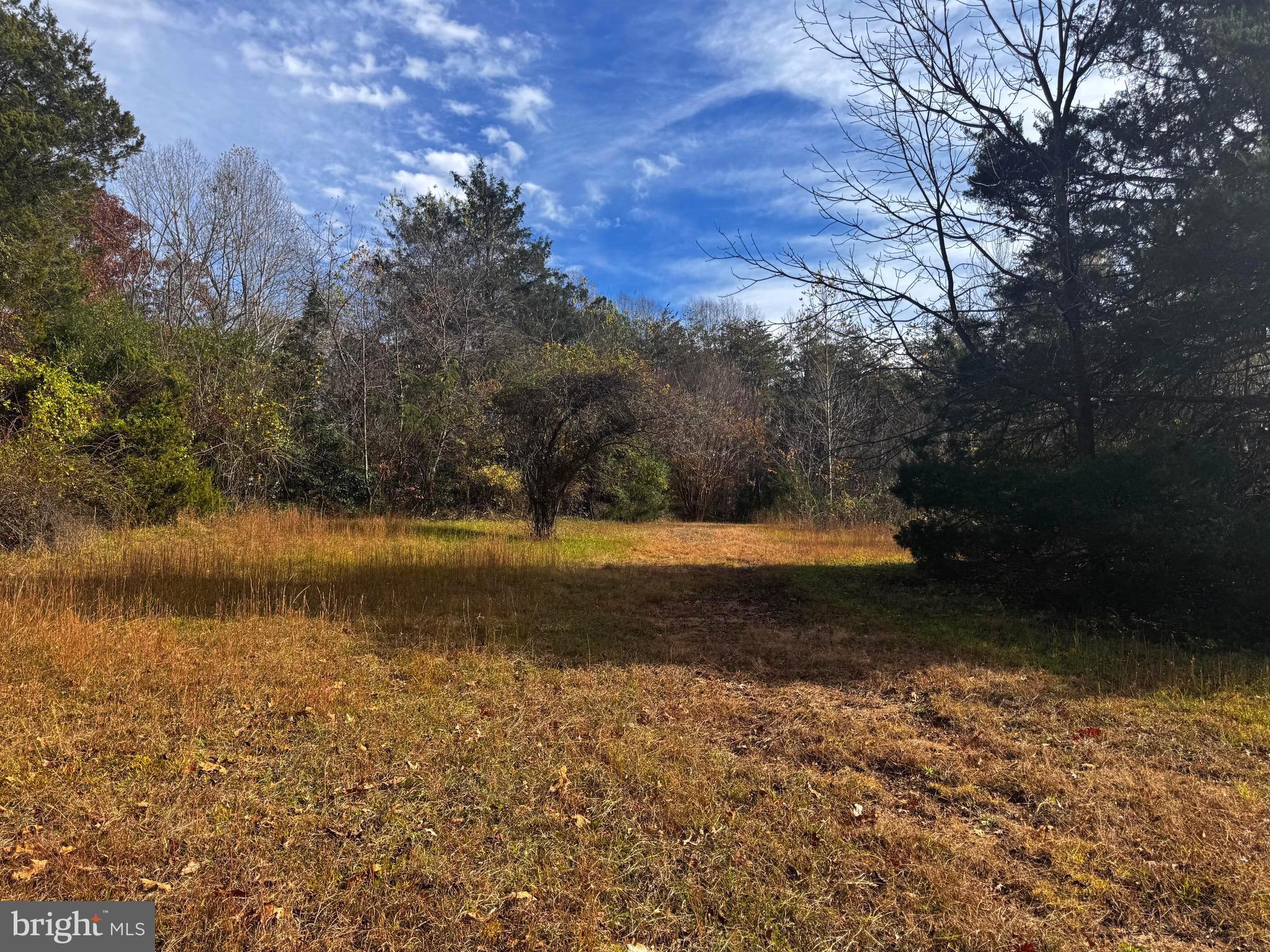 432 Little River Farms Road Bumpass, VA 23024 - Photo 4 of 17